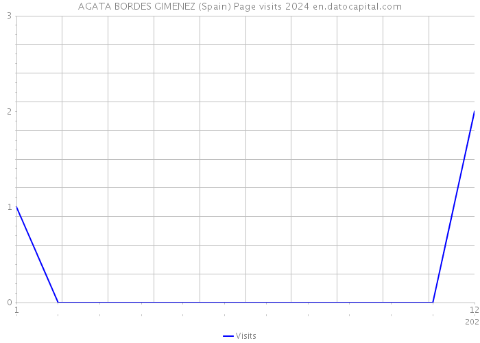 AGATA BORDES GIMENEZ (Spain) Page visits 2024 