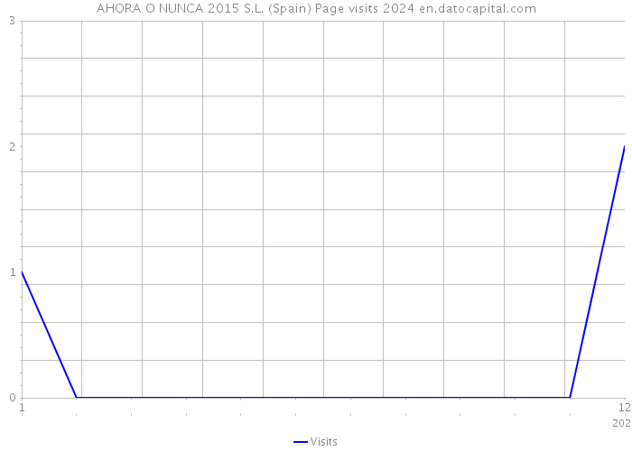 AHORA O NUNCA 2015 S.L. (Spain) Page visits 2024 