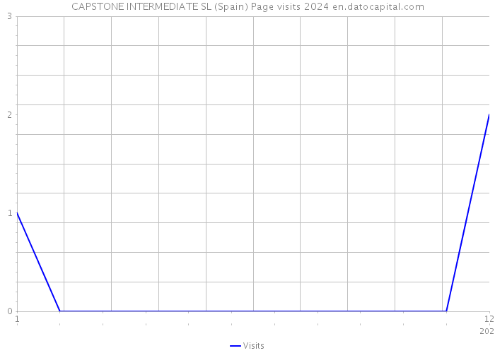 CAPSTONE INTERMEDIATE SL (Spain) Page visits 2024 