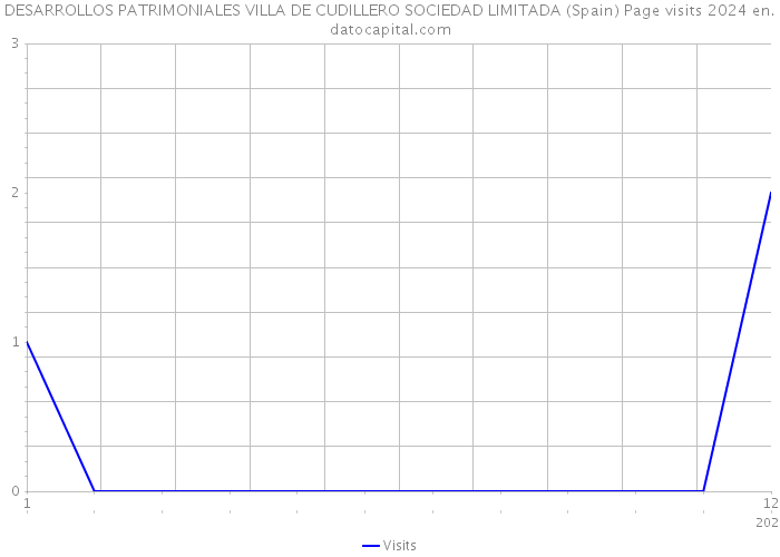 DESARROLLOS PATRIMONIALES VILLA DE CUDILLERO SOCIEDAD LIMITADA (Spain) Page visits 2024 