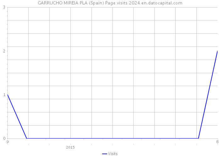 GARRUCHO MIREIA PLA (Spain) Page visits 2024 