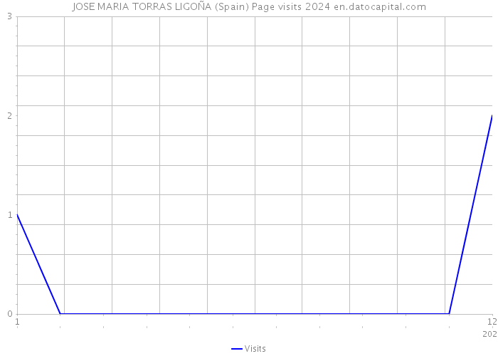 JOSE MARIA TORRAS LIGOÑA (Spain) Page visits 2024 