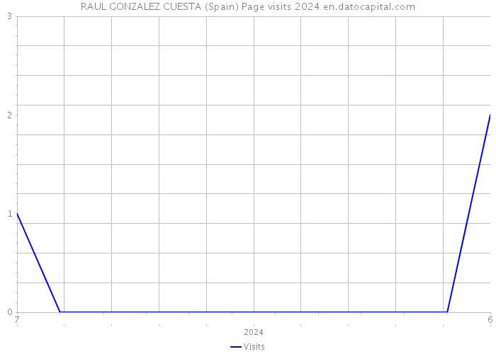 RAUL GONZALEZ CUESTA (Spain) Page visits 2024 