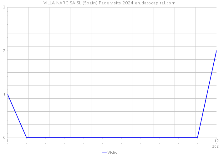 VILLA NARCISA SL (Spain) Page visits 2024 