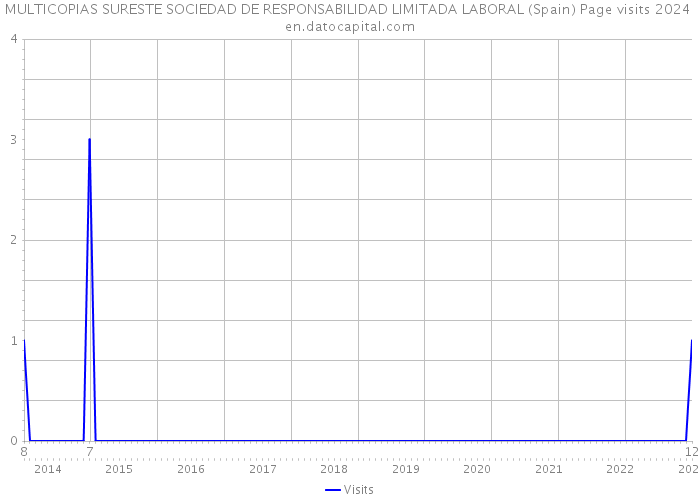 MULTICOPIAS SURESTE SOCIEDAD DE RESPONSABILIDAD LIMITADA LABORAL (Spain) Page visits 2024 