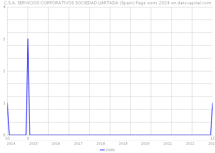 C.S.A. SERVICIOS CORPORATIVOS SOCIEDAD LIMITADA (Spain) Page visits 2024 