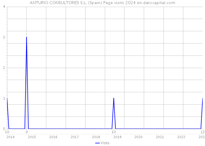 ANTURIO CONSULTORES S.L. (Spain) Page visits 2024 