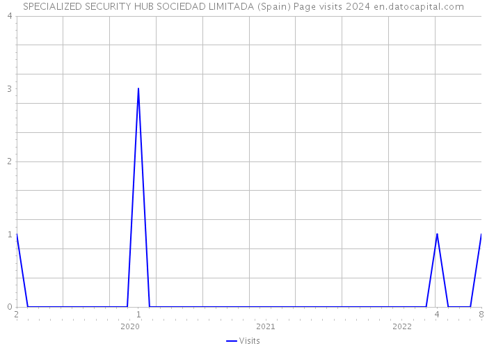 SPECIALIZED SECURITY HUB SOCIEDAD LIMITADA (Spain) Page visits 2024 