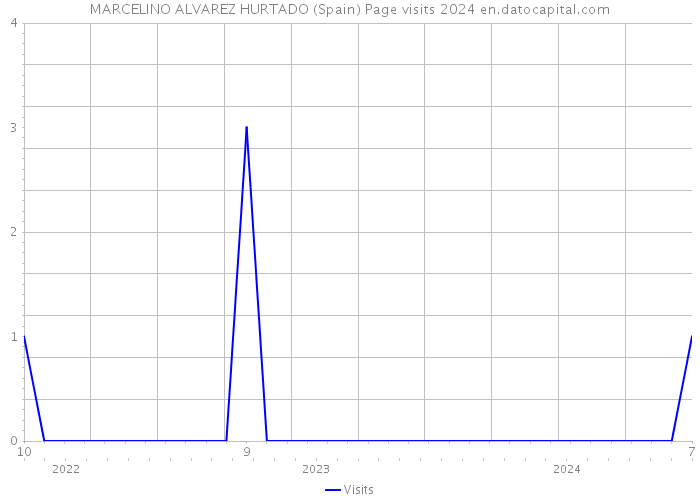 MARCELINO ALVAREZ HURTADO (Spain) Page visits 2024 