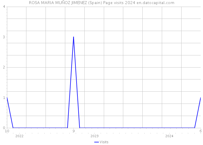 ROSA MARIA MUÑOZ JIMENEZ (Spain) Page visits 2024 