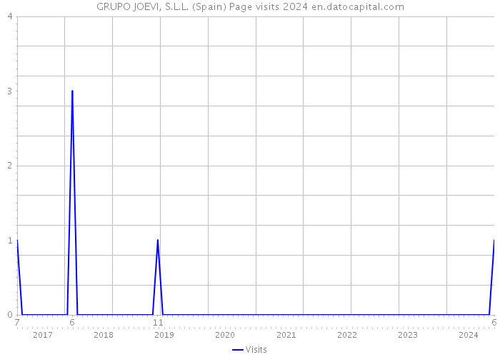 GRUPO JOEVI, S.L.L. (Spain) Page visits 2024 