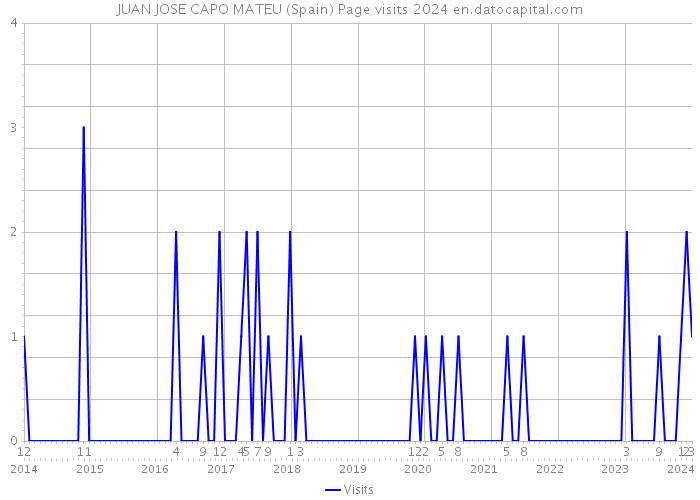 JUAN JOSE CAPO MATEU (Spain) Page visits 2024 