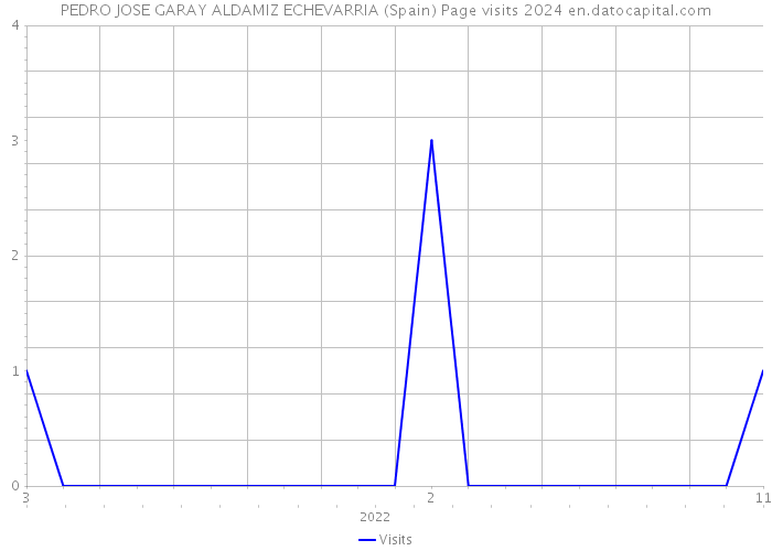 PEDRO JOSE GARAY ALDAMIZ ECHEVARRIA (Spain) Page visits 2024 