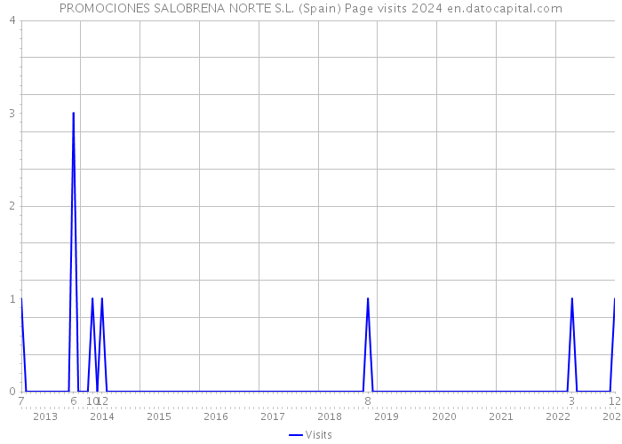 PROMOCIONES SALOBRENA NORTE S.L. (Spain) Page visits 2024 