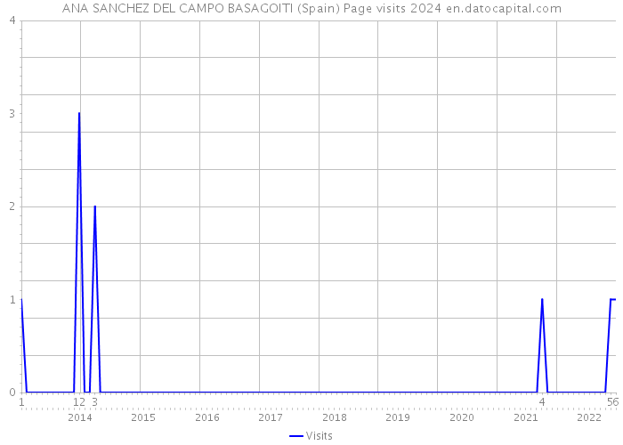 ANA SANCHEZ DEL CAMPO BASAGOITI (Spain) Page visits 2024 