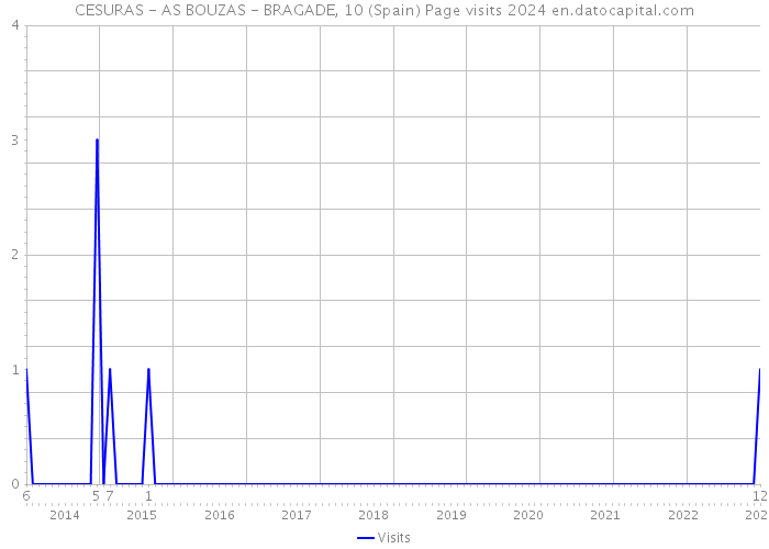 CESURAS - AS BOUZAS - BRAGADE, 10 (Spain) Page visits 2024 
