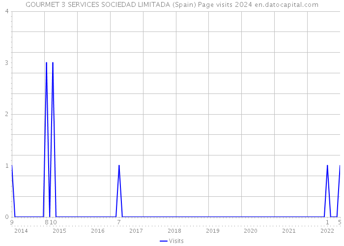 GOURMET 3 SERVICES SOCIEDAD LIMITADA (Spain) Page visits 2024 