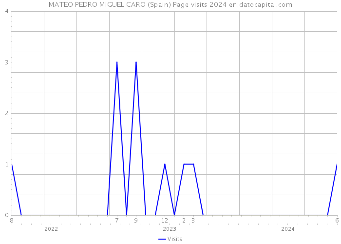 MATEO PEDRO MIGUEL CARO (Spain) Page visits 2024 