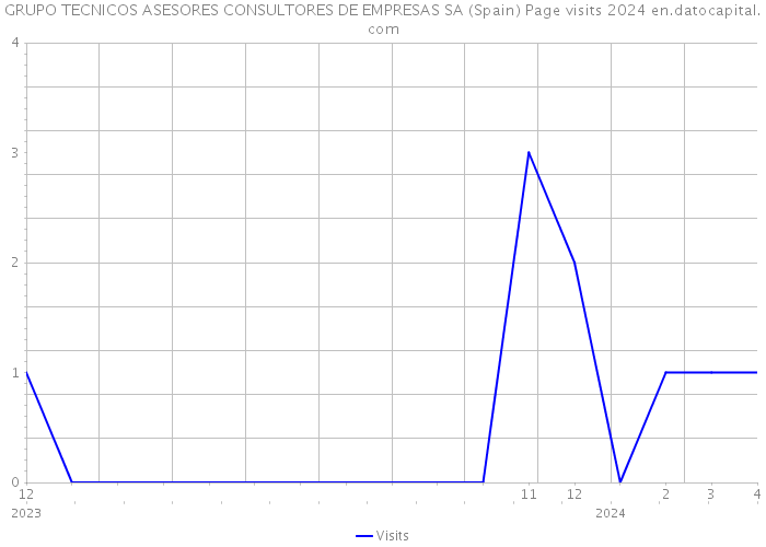 GRUPO TECNICOS ASESORES CONSULTORES DE EMPRESAS SA (Spain) Page visits 2024 