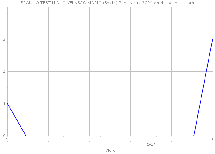 BRAULIO TESTILLANO VELASCO MARIO (Spain) Page visits 2024 