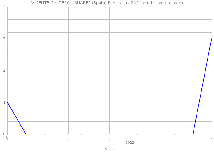 VICENTE CALDERON SUAREZ (Spain) Page visits 2024 