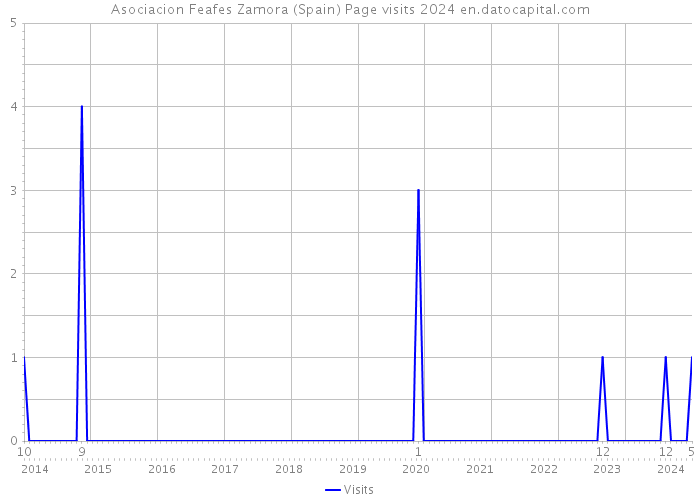 Asociacion Feafes Zamora (Spain) Page visits 2024 