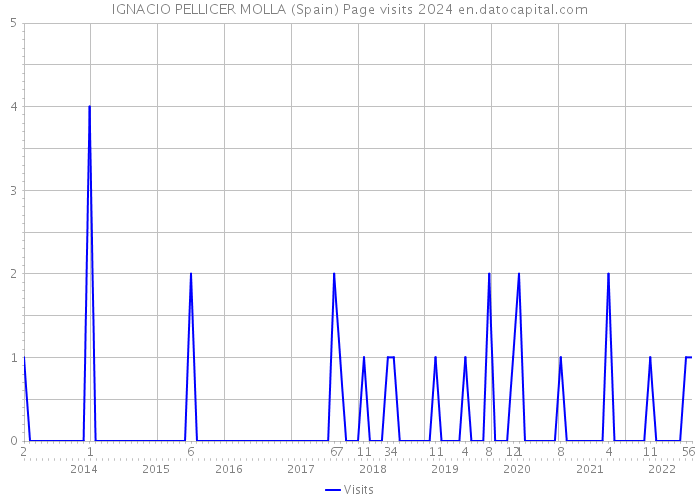 IGNACIO PELLICER MOLLA (Spain) Page visits 2024 