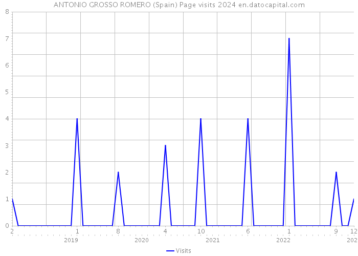 ANTONIO GROSSO ROMERO (Spain) Page visits 2024 