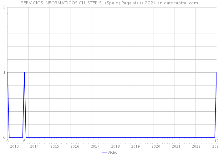 SERVICIOS INFORMATICOS CLUSTER SL (Spain) Page visits 2024 