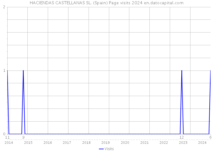 HACIENDAS CASTELLANAS SL. (Spain) Page visits 2024 