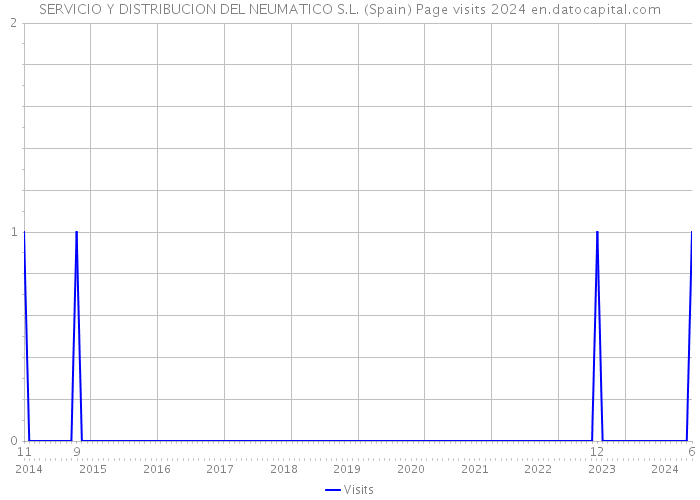 SERVICIO Y DISTRIBUCION DEL NEUMATICO S.L. (Spain) Page visits 2024 