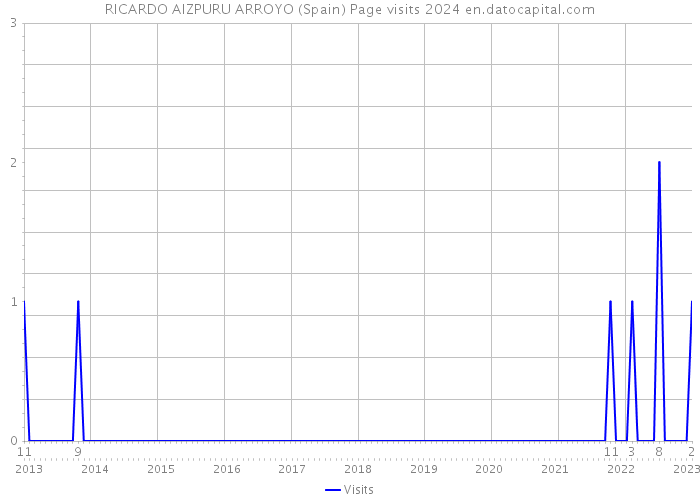 RICARDO AIZPURU ARROYO (Spain) Page visits 2024 