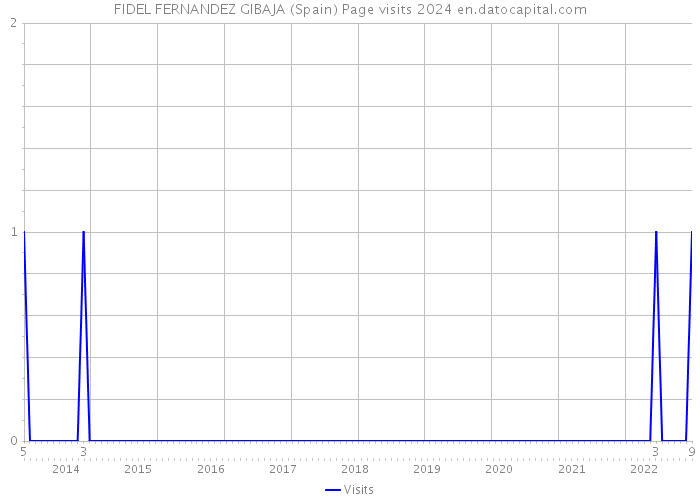 FIDEL FERNANDEZ GIBAJA (Spain) Page visits 2024 