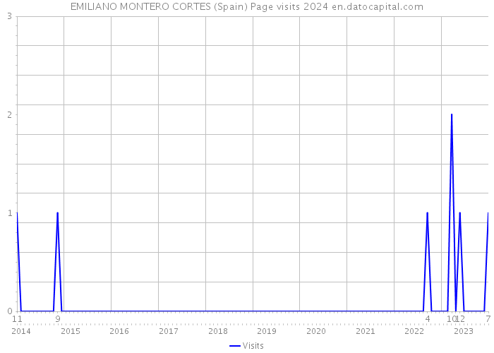EMILIANO MONTERO CORTES (Spain) Page visits 2024 