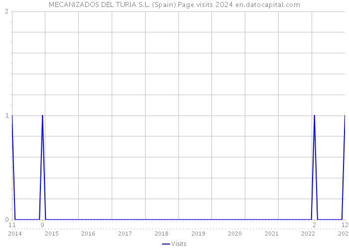 MECANIZADOS DEL TURIA S.L. (Spain) Page visits 2024 