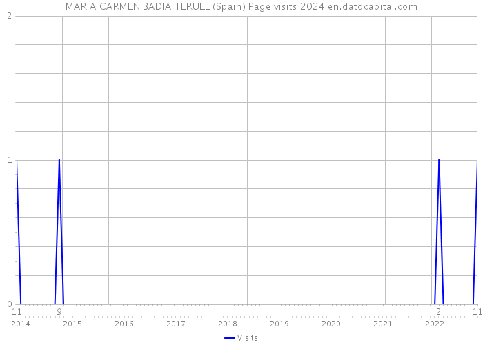 MARIA CARMEN BADIA TERUEL (Spain) Page visits 2024 