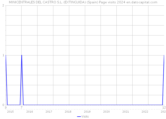 MINICENTRALES DEL CASTRO S.L. (EXTINGUIDA) (Spain) Page visits 2024 