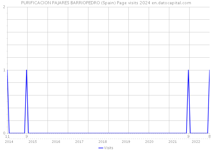 PURIFICACION PAJARES BARRIOPEDRO (Spain) Page visits 2024 