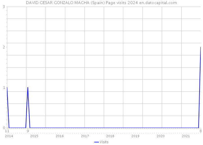 DAVID CESAR GONZALO MACHA (Spain) Page visits 2024 