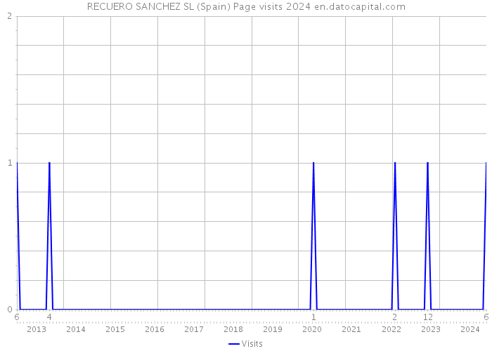 RECUERO SANCHEZ SL (Spain) Page visits 2024 