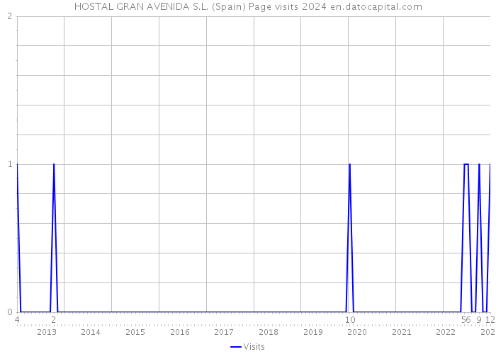HOSTAL GRAN AVENIDA S.L. (Spain) Page visits 2024 