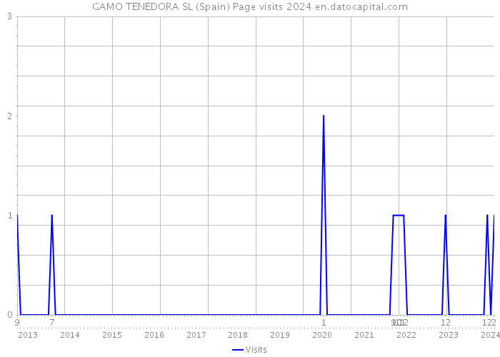 GAMO TENEDORA SL (Spain) Page visits 2024 