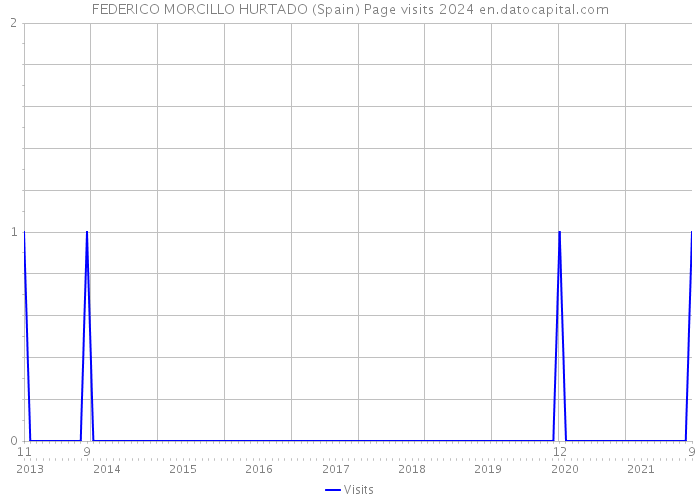 FEDERICO MORCILLO HURTADO (Spain) Page visits 2024 