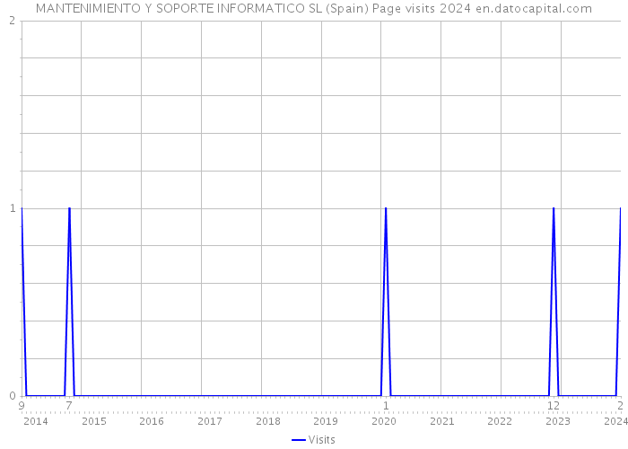 MANTENIMIENTO Y SOPORTE INFORMATICO SL (Spain) Page visits 2024 