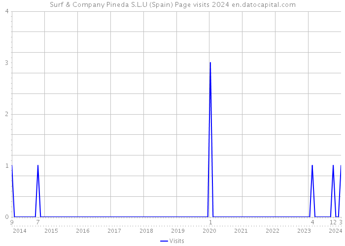 Surf & Company Pineda S.L.U (Spain) Page visits 2024 