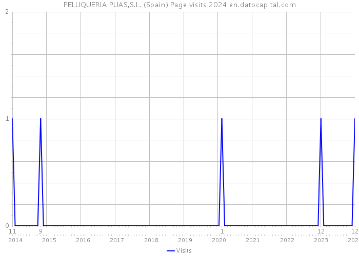 PELUQUERIA PUAS,S.L. (Spain) Page visits 2024 