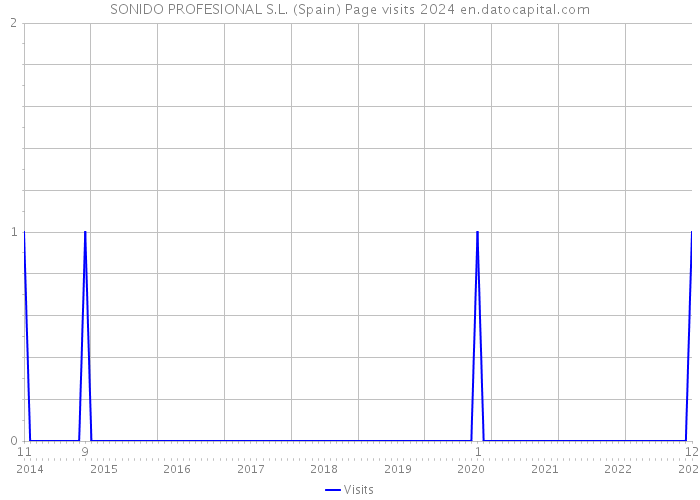 SONIDO PROFESIONAL S.L. (Spain) Page visits 2024 