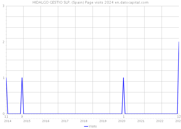 HIDALGO GESTIO SLP. (Spain) Page visits 2024 