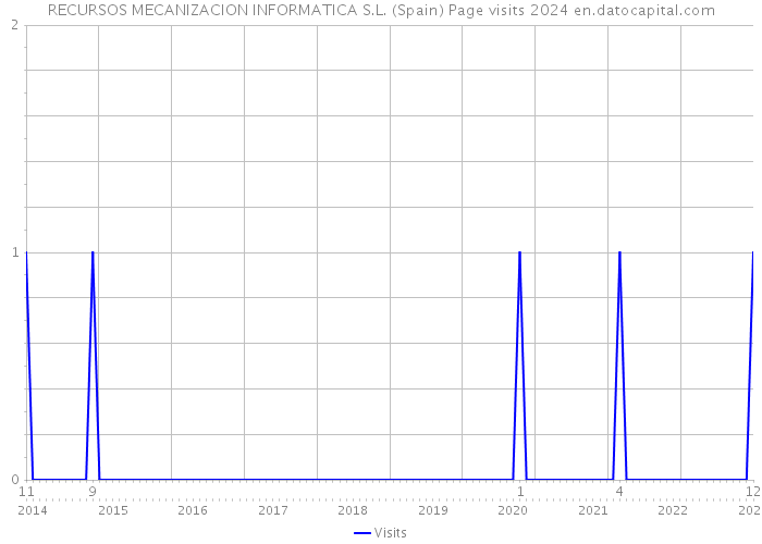 RECURSOS MECANIZACION INFORMATICA S.L. (Spain) Page visits 2024 