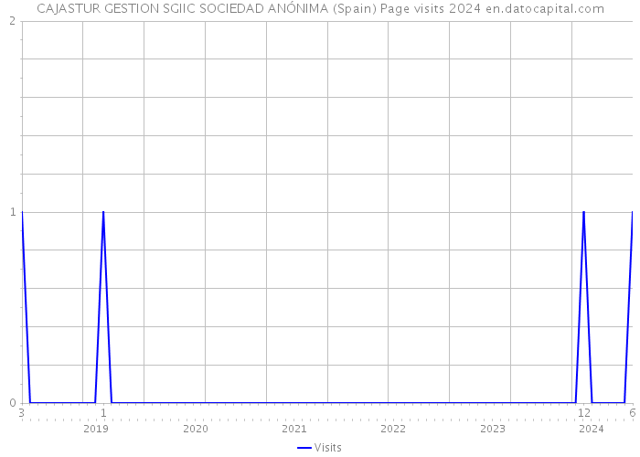 CAJASTUR GESTION SGIIC SOCIEDAD ANÓNIMA (Spain) Page visits 2024 